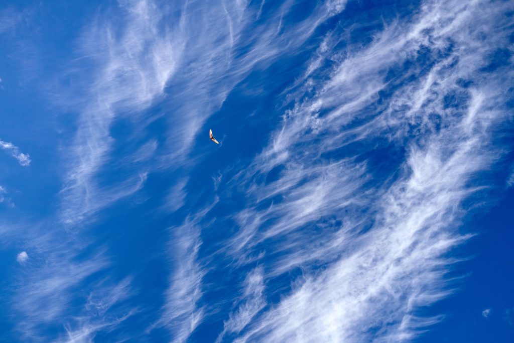 Impression vom 11.10.2026